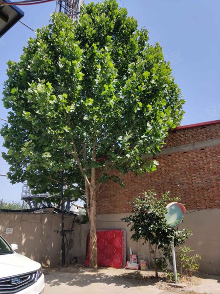 恒盛大厦,柳江路6增1号-天津恒盛大厦二手房,租房,房价-天津安居客