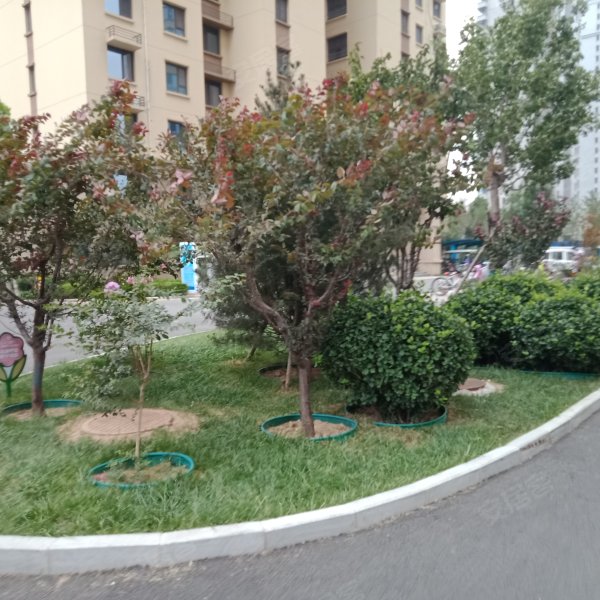 泰华旭景城,京衡南大街-衡水泰华旭景城二手房,租房,房价-衡水安居客