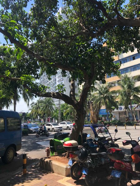 节能大厦,琼州大道6号-海口节能大厦二手房,租房,房价-海口安居客