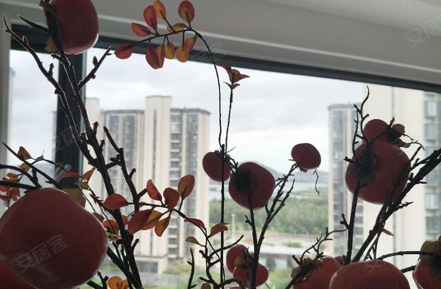 奥园鼎新海樾岚庭3室2厅137㎡187万二手房图片