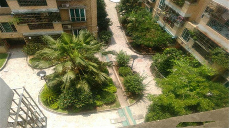 里水新天地,里水大道-佛山里水新天地二手房,租房,房价-佛山安居客