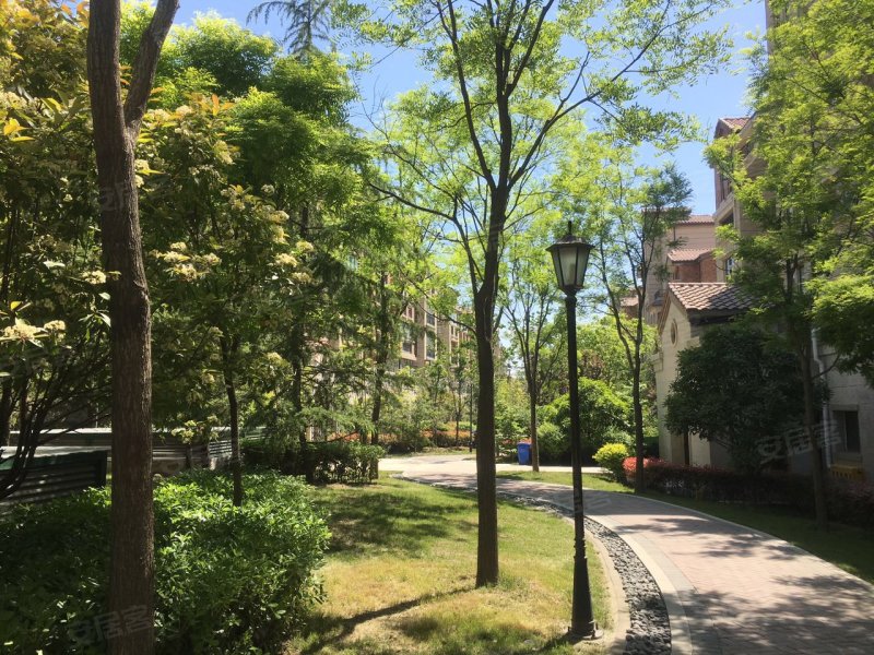 洞林湖新田城(别墅)