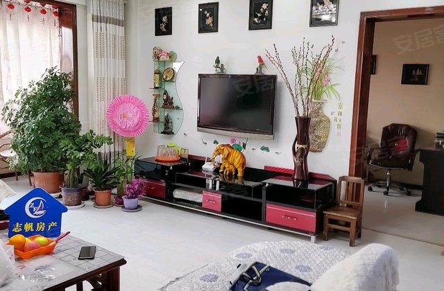 金沙苑3室2厅120㎡29万二手房图片