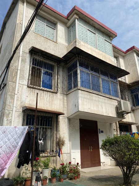 天兴洲绿岛小区