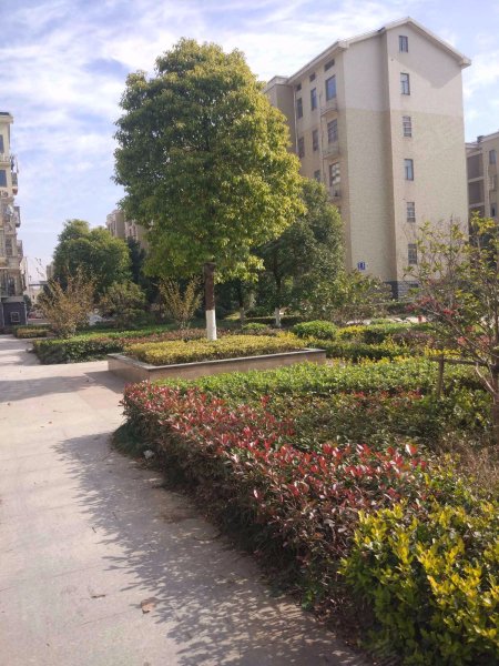 邹新花园(北区),东方大道,近岳杨路-常州邹新花园(北区)二手房,租房