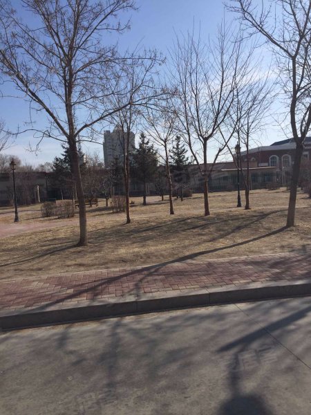 景园小区(六区),求实路-大庆景园小区(六区)二手房,租房,房价-大庆