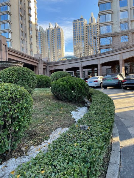 棕榈泉国际公寓,公园南路8号-北京棕榈泉国际公寓二手房,租房,房价