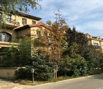 彼岸香醍(东区)