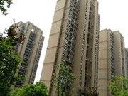 就这个价格能省下来一个娶媳妇的钱,房子买了媳妇也来了