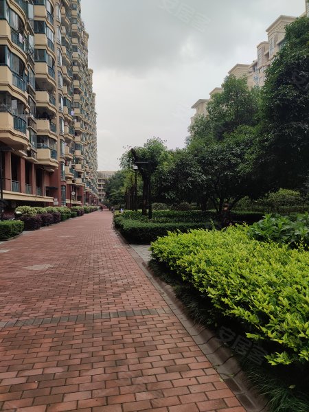 新科花园a区,新科路-义乌新科花园a区二手房,租房,房价-义乌安居客