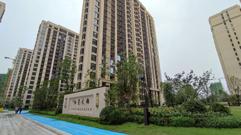 红星天铂e3地块