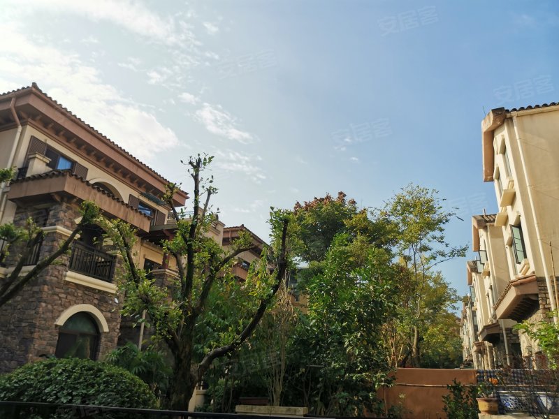 东原湖光樾墅,金湖大道99号-成都东原湖光樾墅二手房,租房,房价-成都