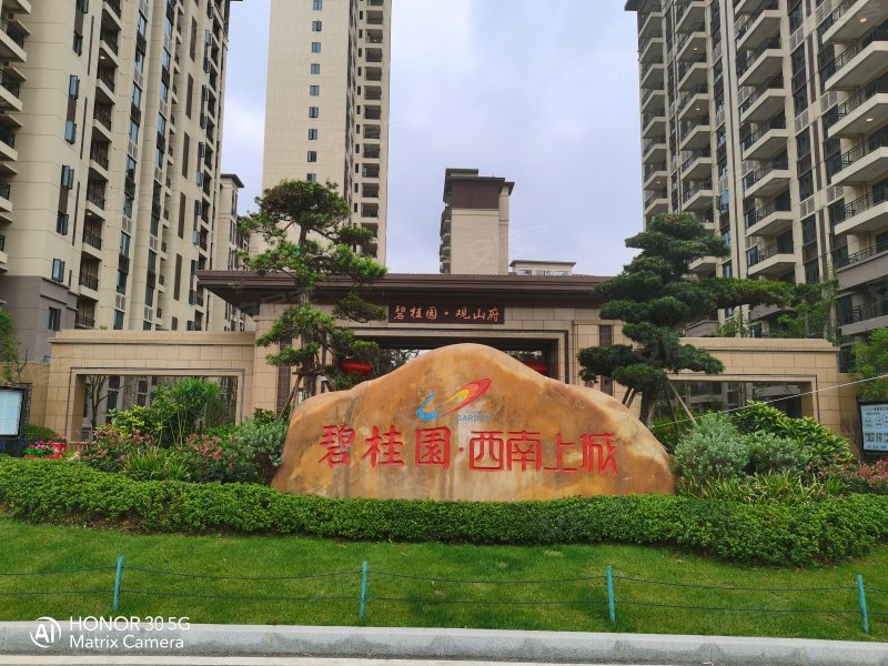 碧桂园西南上城(商住楼)