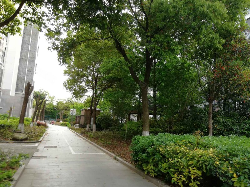 水岸名都文澜园,盐马路246号-盐城水岸名都文澜园二手房,租房,房价