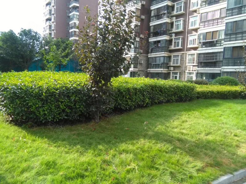 凯旋名邸,静安路7号-武汉凯旋名邸二手房,租房,房价-武汉安居客