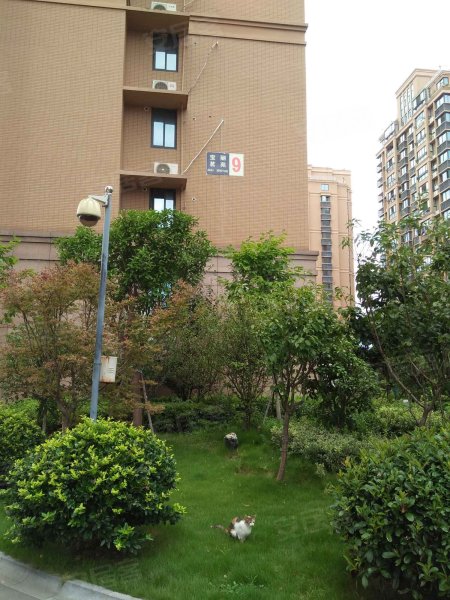 宝丽茗苑,宝庆路275号-宁波宝丽茗苑二手房,租房,房价-宁波安居客