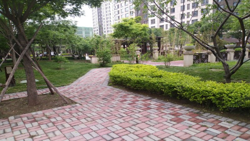 上善颐园芷菱苑