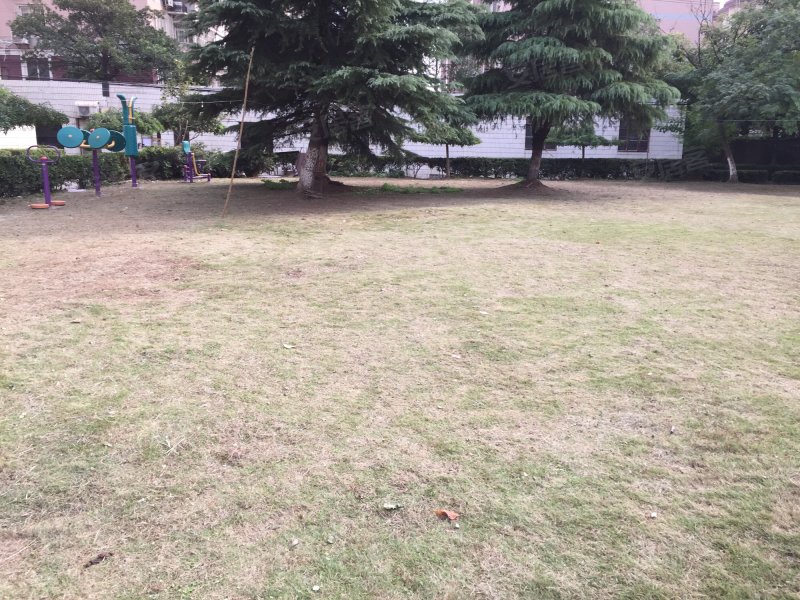 新丰花苑(东区公寓住宅) 