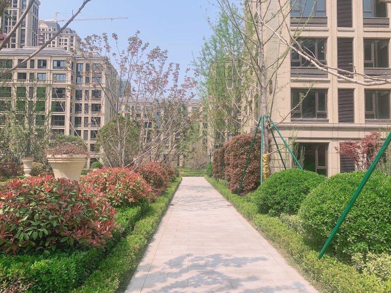 租房市场新动态：亳州的居住变化