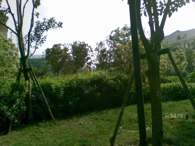 阳光欧洲城蔷薇绅邻 