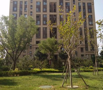 保利香槟国际(南区)