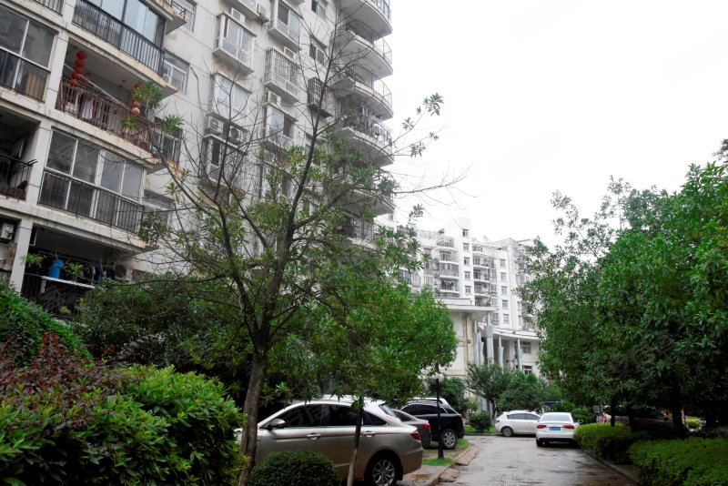 华乐花园,珞喻东路189号-武汉华乐花园二手房,租房,房价-武汉安居客