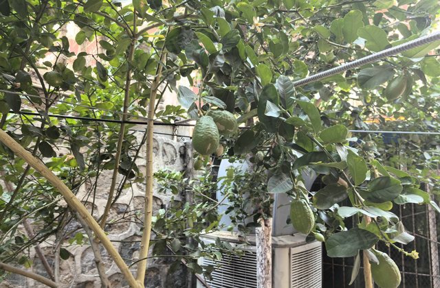 机械化施工处家属院3室2厅88㎡35.8万二手房图片