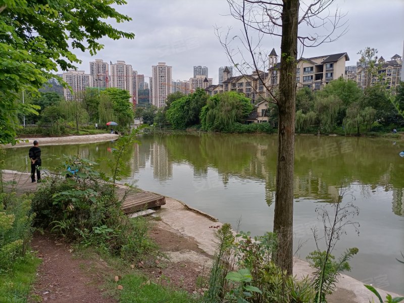 蓝光公园悦湖(一期),锦华路,近渝都大道-重庆蓝光公园悦湖(一期)二手
