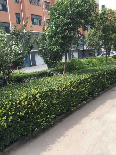 祥和苑(寿光),建新街131号-潍坊祥和苑(寿光)二手房,租房,房价-潍坊