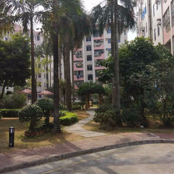 怡景花园(大朗),毛织东路88号-东莞怡景花园(大朗)二手房,租房,房价