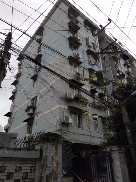 金桥路226弄小区