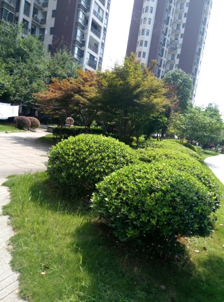 南湖景苑,雄楚大道352号-武汉南湖景苑二手房,租房,房价-武汉安居客