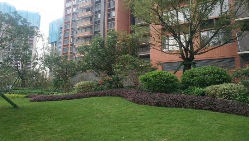 新鸿基泷景(八期)