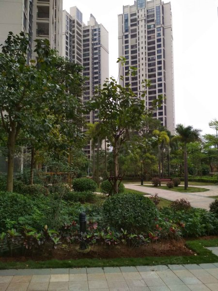 顺江帝景城,体育南路35号-湛江顺江帝景城二手房,租房,房价-湛江安居