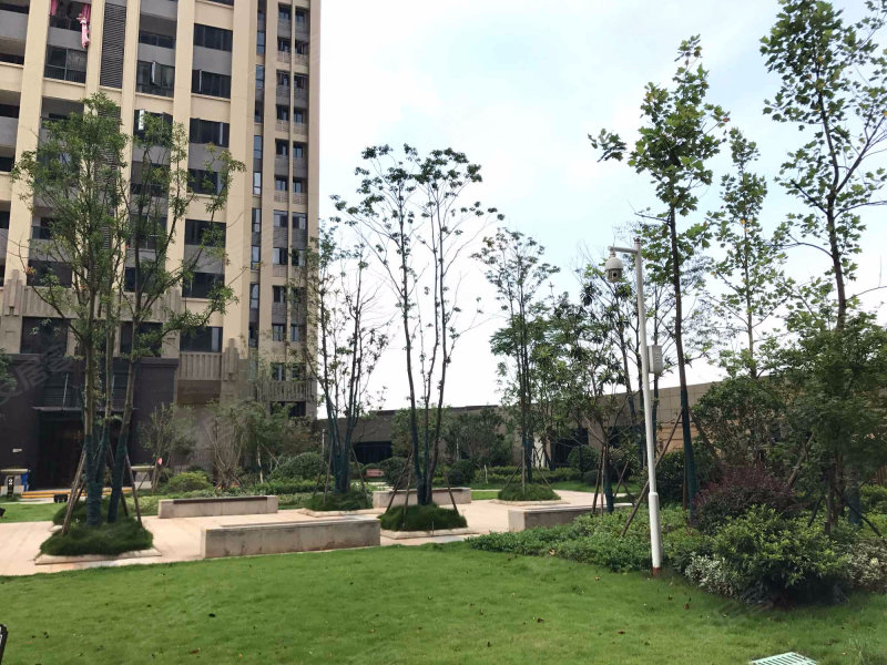 长房半岛蓝湾,湘府东路-长沙长房半岛蓝湾二手房,租房,房价-长沙安居