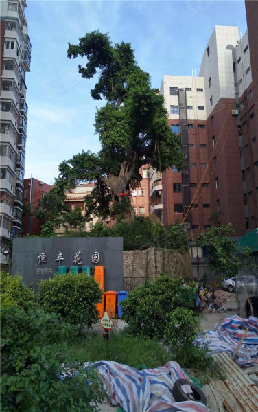 恒丰花园(一期,长岸路66-68号-厦门恒丰花园(一期)二手房,租房,房价