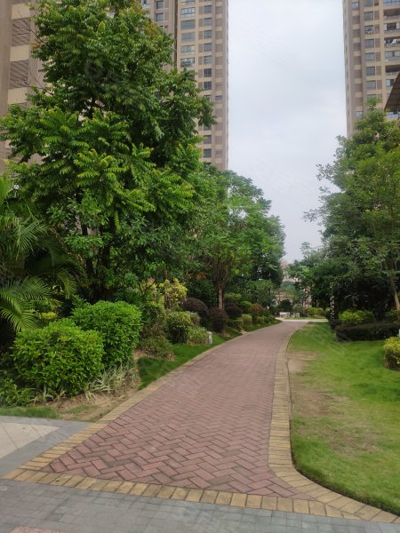 天博华府