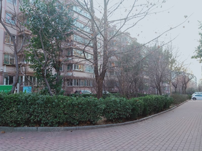 阳光舜城中区十三区,舜世路-济南阳光舜城中区十三区二手房,租房,房价