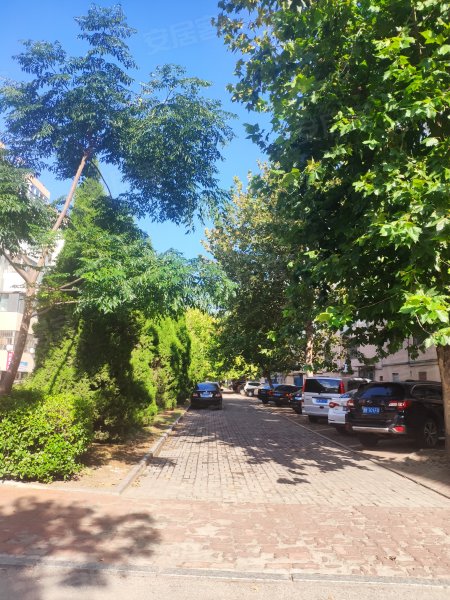 皇冠花园(中区)