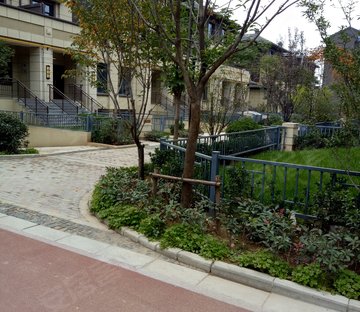 西安绿地城(别墅)