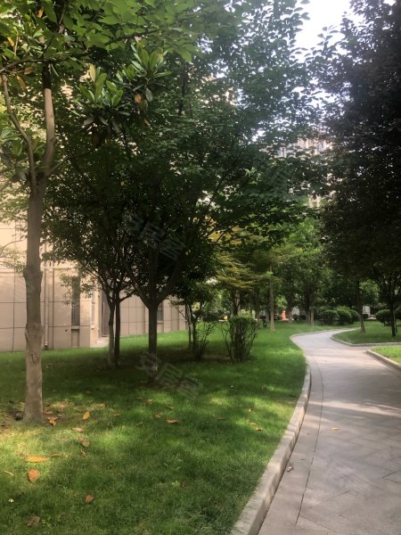 盛世观邸,陈仓大道-宝鸡盛世观邸二手房,租房,房价-宝鸡安居客