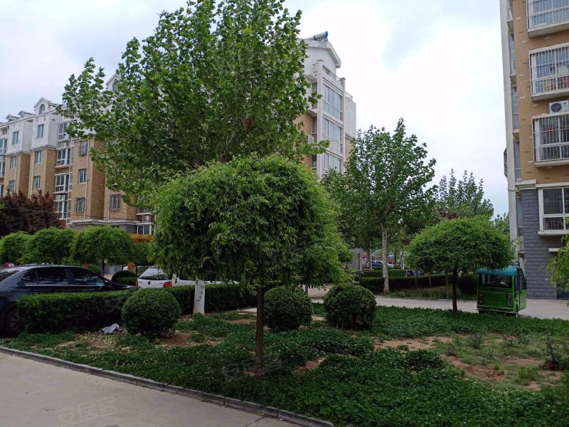 盛世华府(东阿)