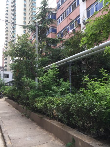 东风小区,中州中路427号-洛阳东风小区二手房,租房,房价-洛阳安居客