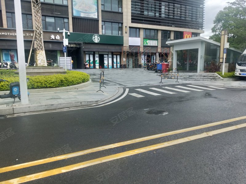 深源金紫名邦