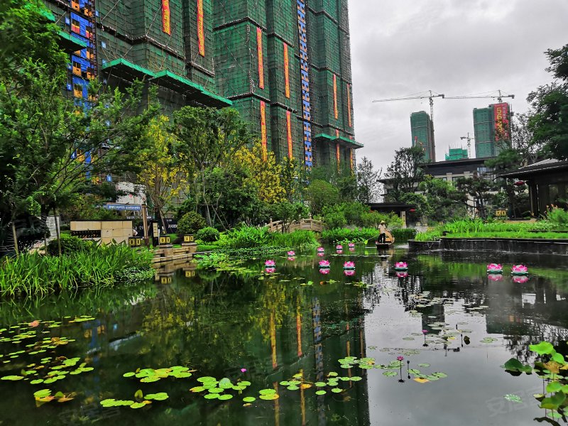 恒大天玺,紫菱路,近长庚路-常德恒大天玺二手房,租房,房价-常德安居客