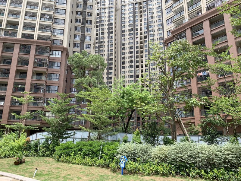 绿茵九龙湾,观海路9号-肇庆绿茵九龙湾二手房,租房,房价-肇庆安居客