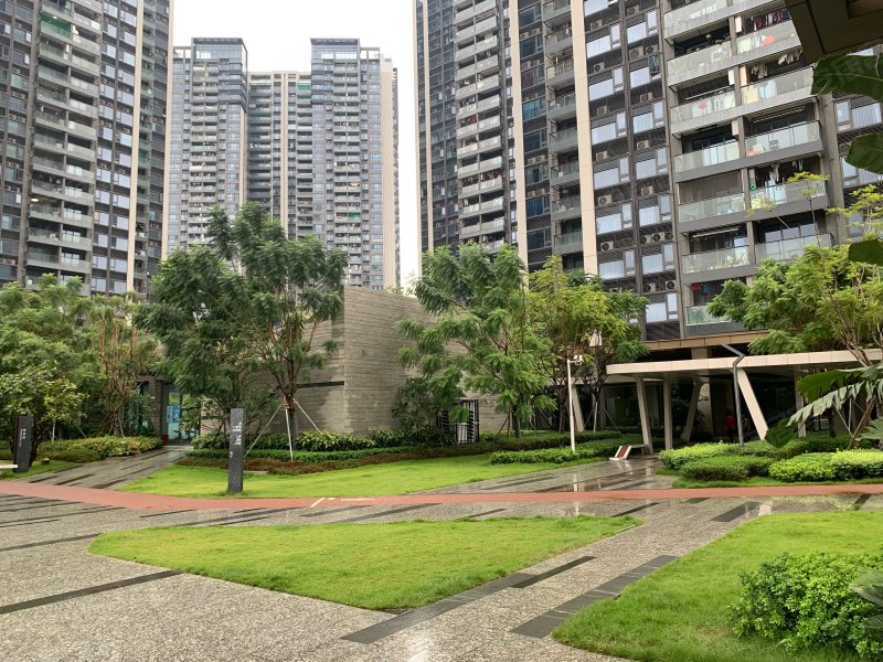 博林君瑞