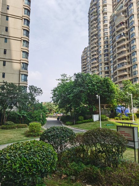 顺德碧桂园春天里