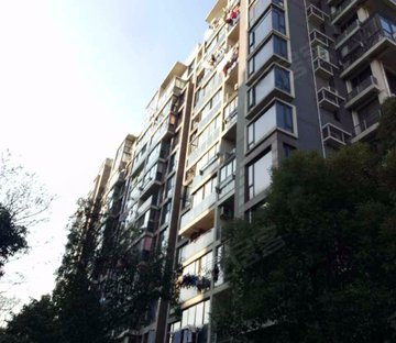 大华铂金华府 商业配套成熟 临地铁 出行方便 近医院 大两房