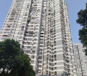 怡景苑(临江大道) 商品住宅 高楼层视野好 电梯房 精装好房